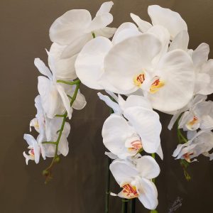 Orquídea Alina 80 cm